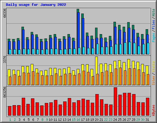Daily usage for January 2022