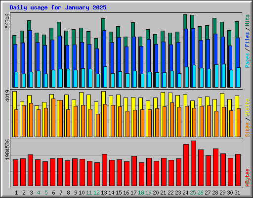 Daily usage for January 2025
