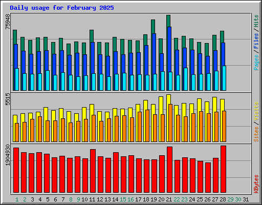 Daily usage for February 2025