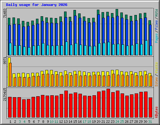 Daily usage for January 2026