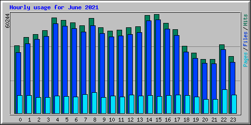 Hourly usage for June 2021