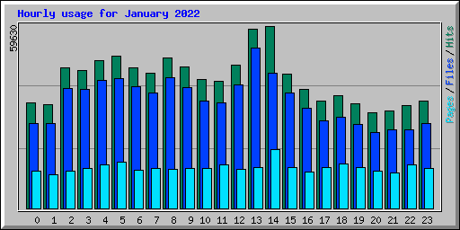Hourly usage for January 2022