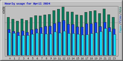 Hourly usage for April 2024