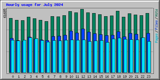 Hourly usage for July 2024