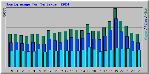 Hourly usage for September 2024