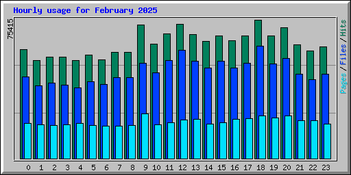 Hourly usage for February 2025