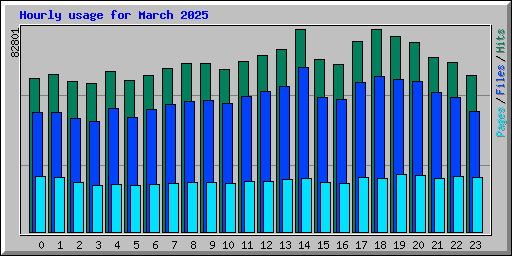 Hourly usage for March 2025