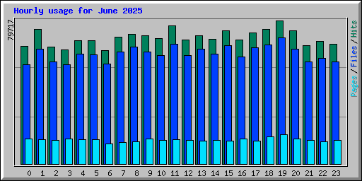 Hourly usage for June 2025