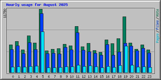 Hourly usage for August 2025