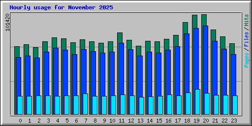 Hourly usage for November 2025
