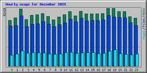 Hourly usage for December 2025