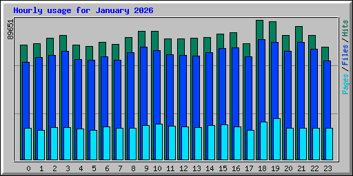 Hourly usage for January 2026