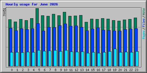 Hourly usage for June 2026