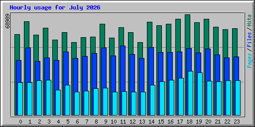 Hourly usage for July 2026